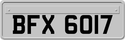 BFX6017