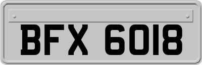 BFX6018
