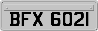 BFX6021