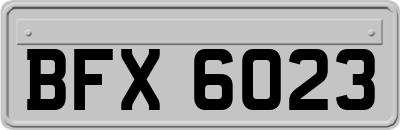 BFX6023