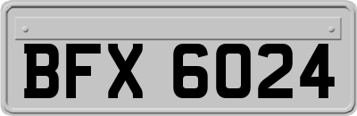 BFX6024