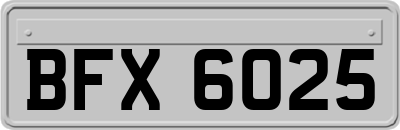 BFX6025