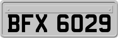 BFX6029