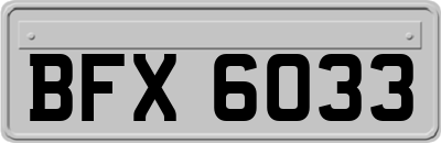 BFX6033