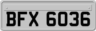 BFX6036