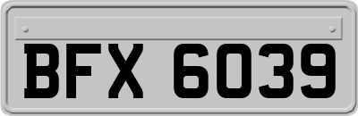 BFX6039