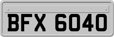 BFX6040