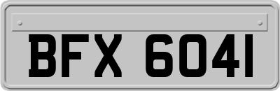 BFX6041