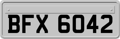 BFX6042