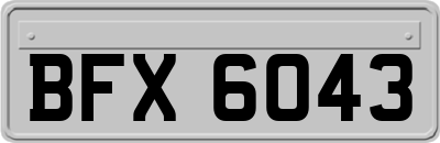 BFX6043