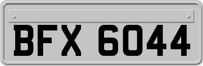 BFX6044