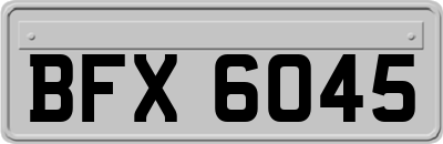 BFX6045