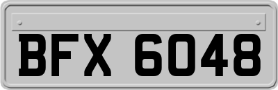 BFX6048