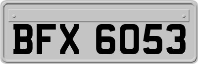 BFX6053