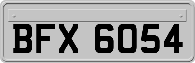 BFX6054