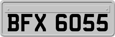 BFX6055