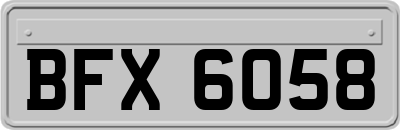 BFX6058