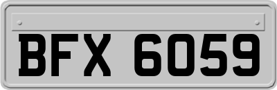 BFX6059