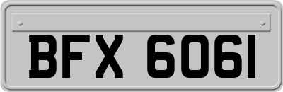 BFX6061