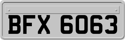 BFX6063