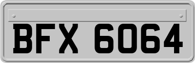 BFX6064