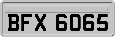 BFX6065