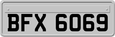 BFX6069
