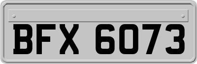 BFX6073