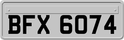 BFX6074