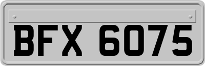 BFX6075