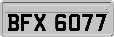 BFX6077