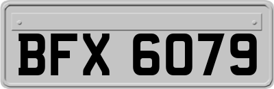 BFX6079
