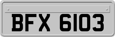 BFX6103