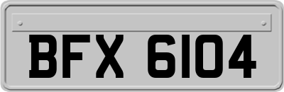 BFX6104