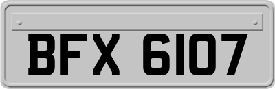 BFX6107