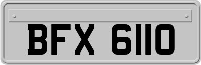 BFX6110