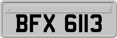 BFX6113