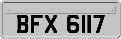 BFX6117