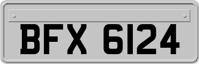BFX6124