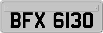 BFX6130