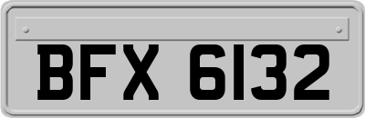 BFX6132