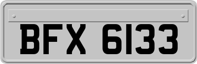 BFX6133