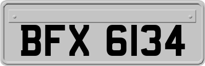 BFX6134