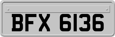 BFX6136