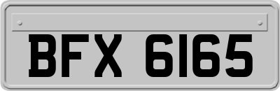BFX6165