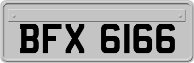 BFX6166