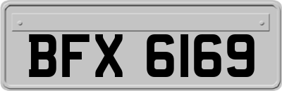 BFX6169