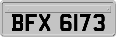BFX6173