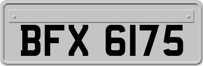 BFX6175