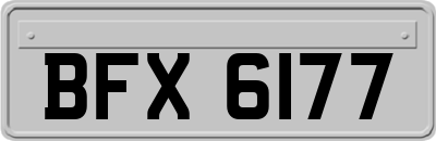 BFX6177